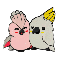 Love Birbs