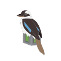 Dice Kookaburra