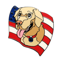 American Dream Dog Buddy Washington