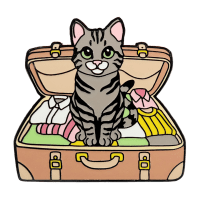 Pack the Essentials