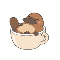Plataccino