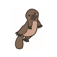 Platypus Spirit
